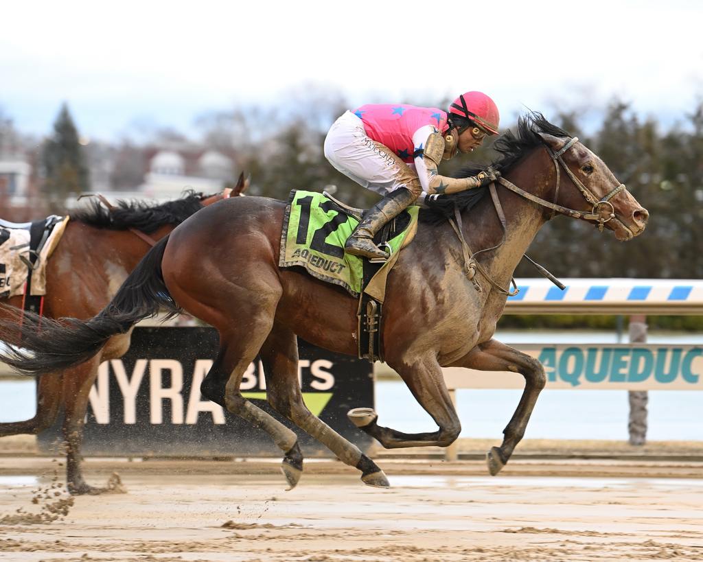 Raise Cain winning the 2023 Gotham. (Susie Raisher)