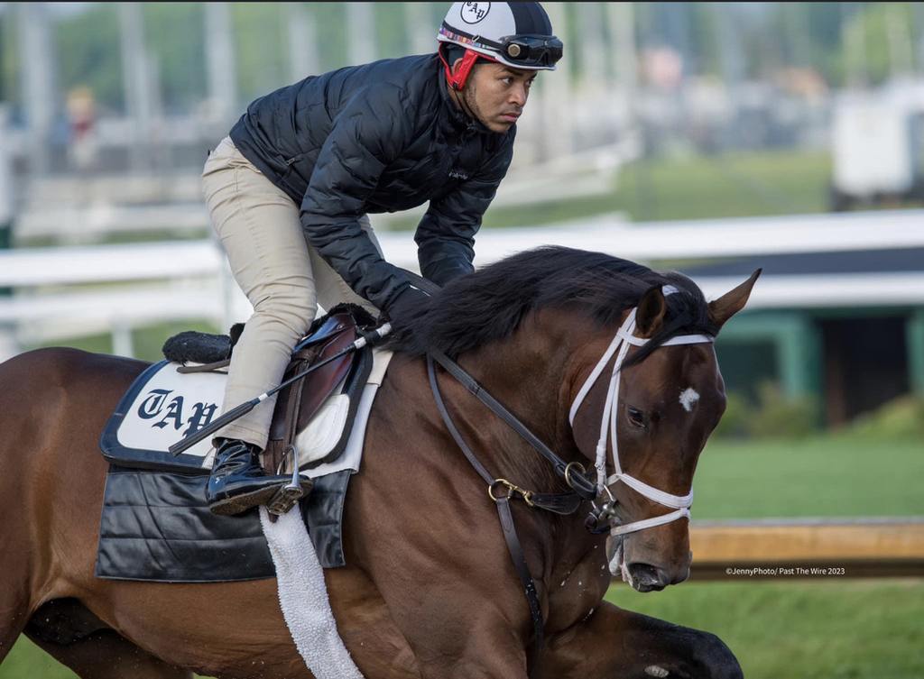 Training at Churchill Downs for the Kentucky Derby, Jenny Photo, Past the Wire