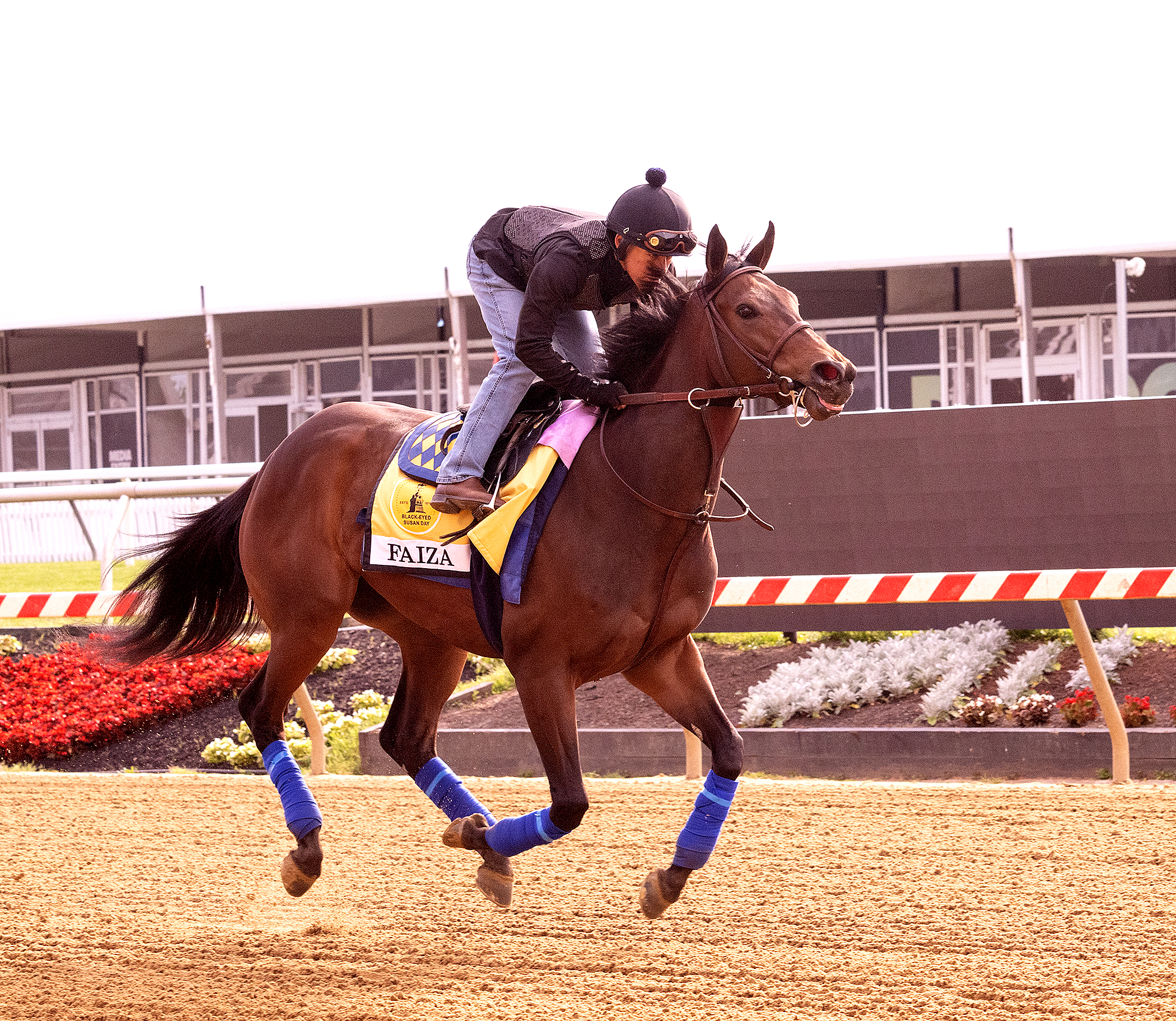 Faiza Looking Perfectly Fabulous - Past The Wire