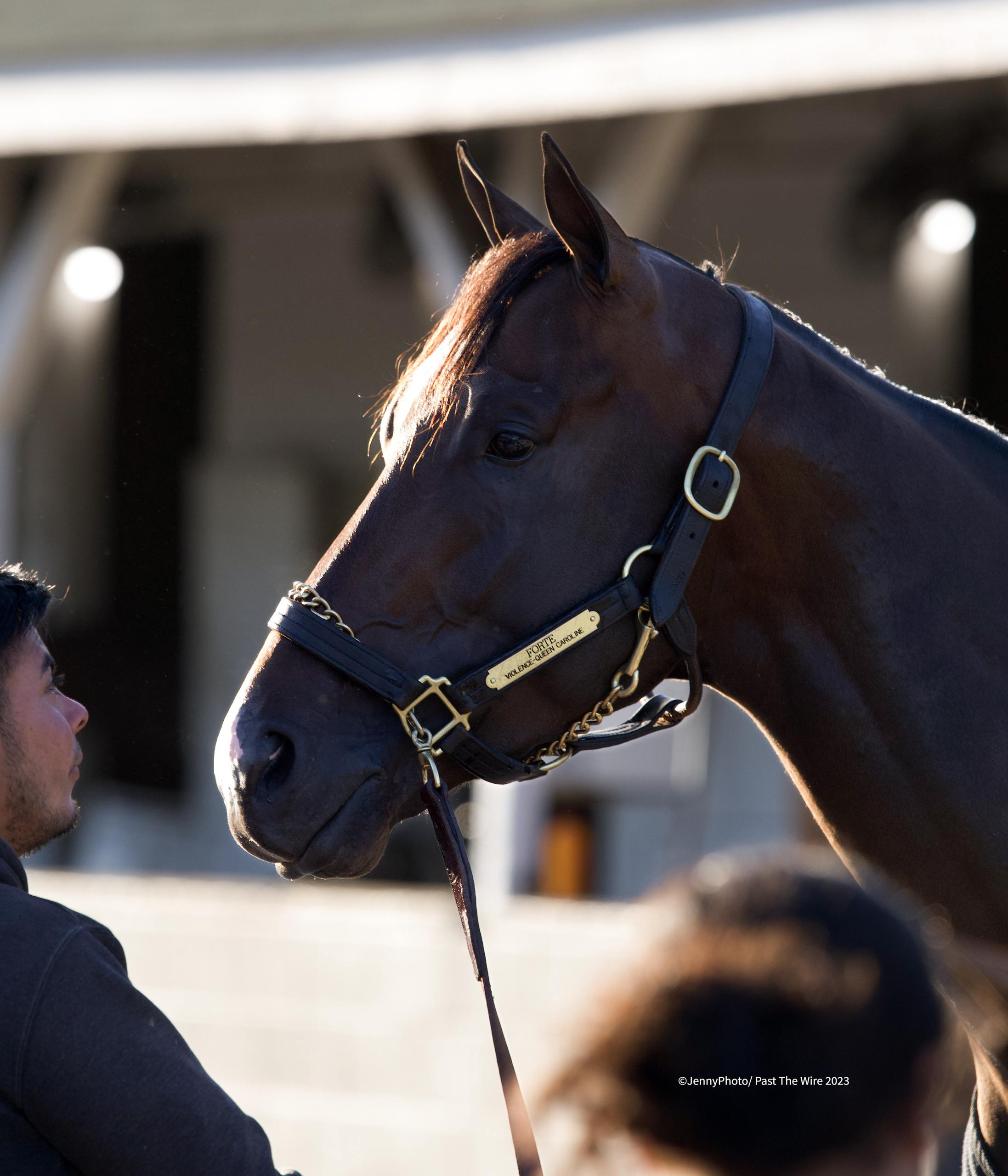 G1 Travers the Long-Term Goal for Forte, Tapit Trice - Past The Wire