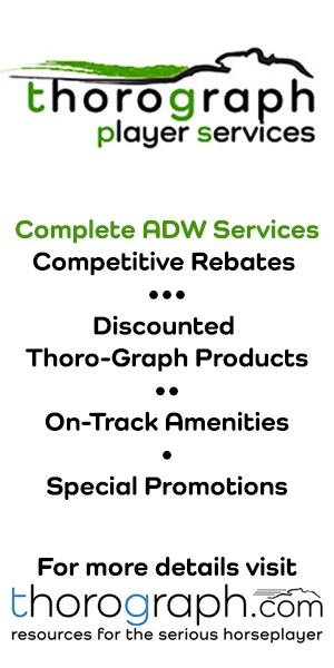 TG: Thorograph Vertical Ad (ad)