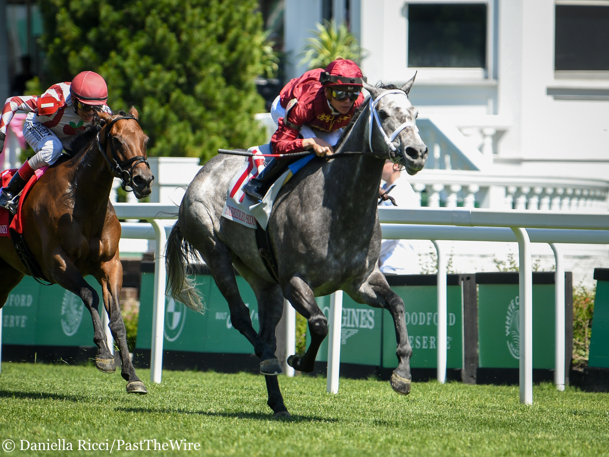 Cox's Belmont Day Contenders Put in Light Breezes - Past The Wire