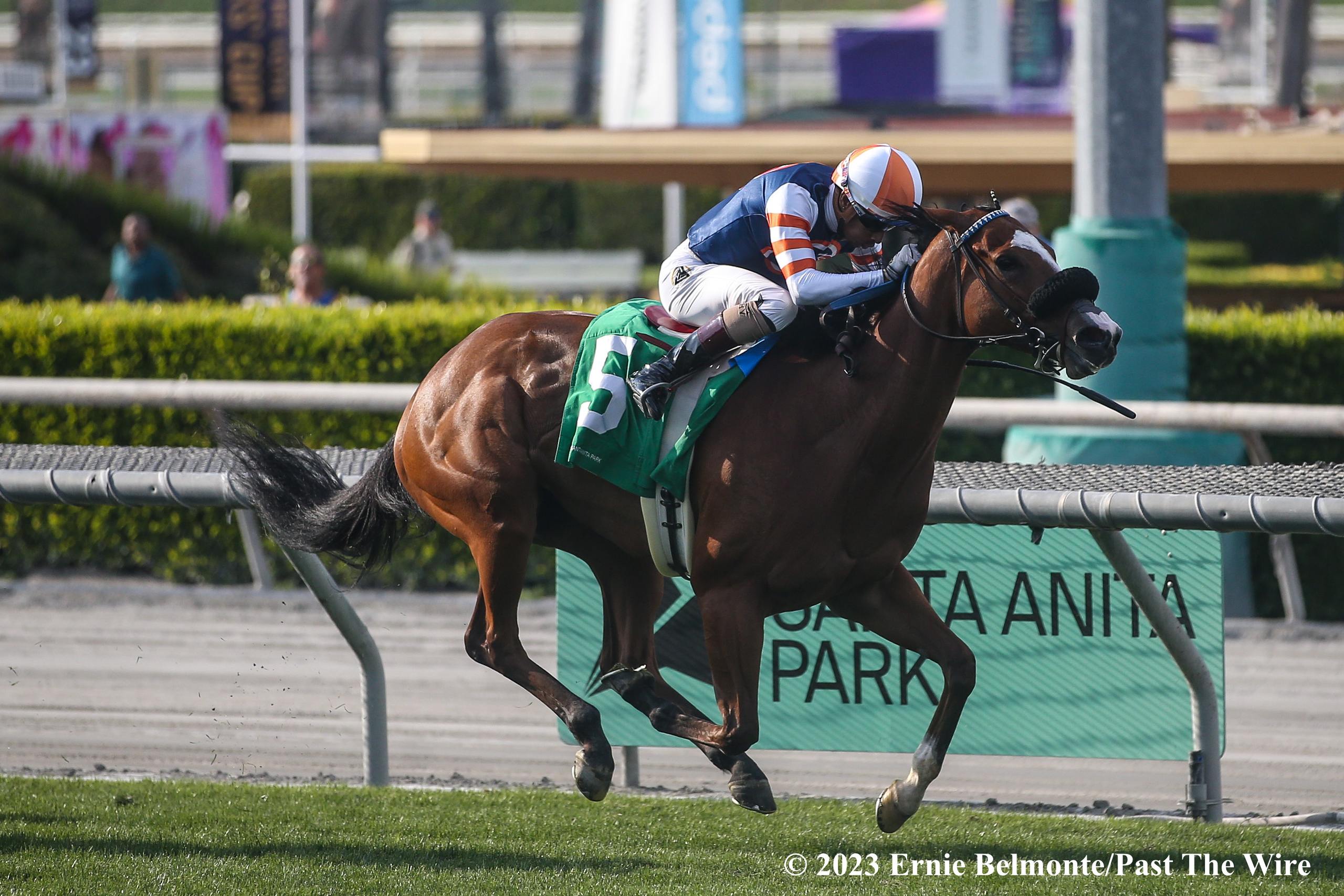 Reasons Why Horse Racing Betting is so Popular - Past The Wire