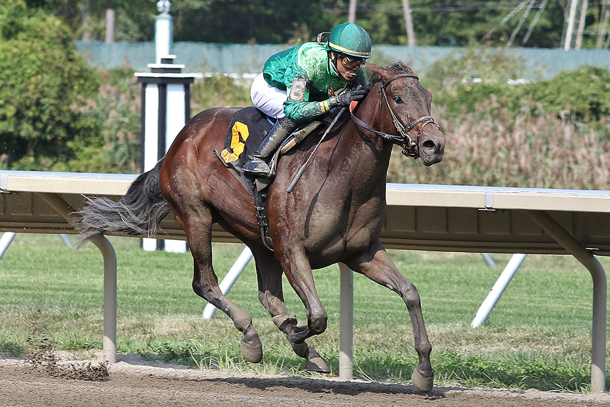 Shidabhuti Back at Monmouth for $100K Boiling Springs - Past The Wire
