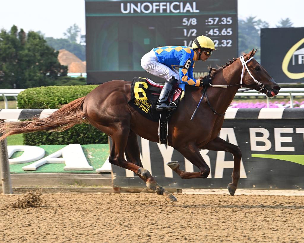 Gold Sweep winning the Tremont. (Susie Raisher)