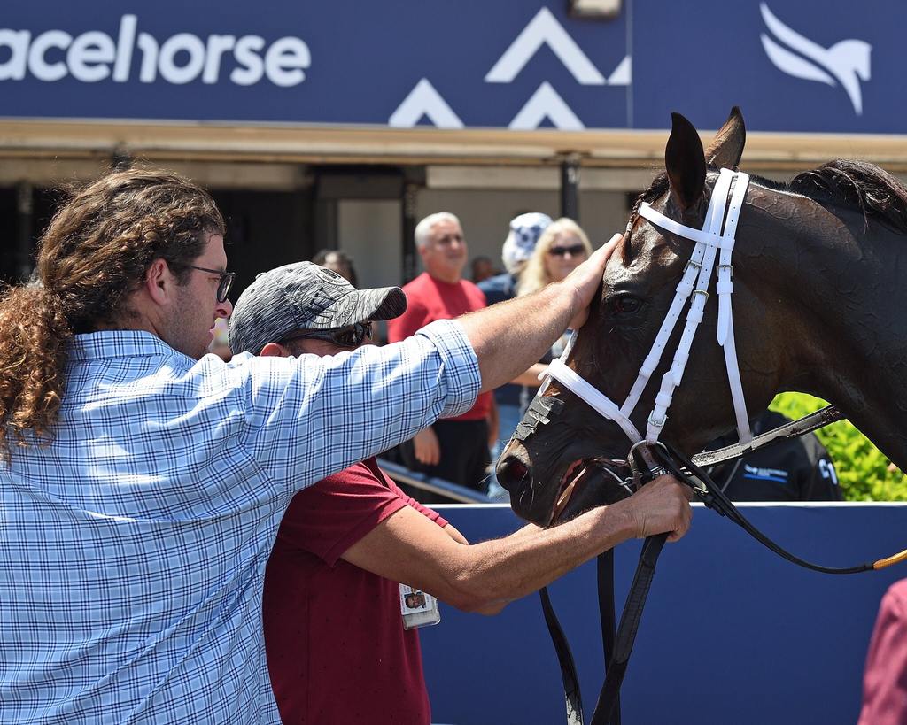 Honor D Lady gets a tender pat from Joseph after winning the Honey Ryder at Gulfstream Park May 6. (Ryan Thompson)