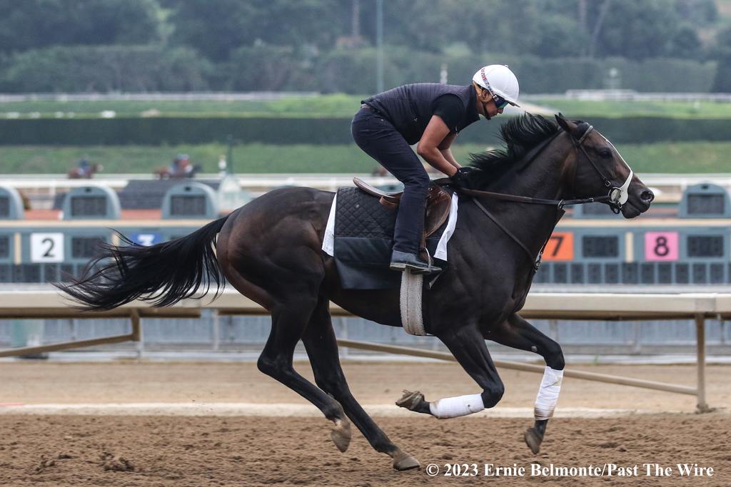 Geaux Rocket Ride gets in a gallop at Santa Anita. (Ernie Belmonte/Past The Wire)