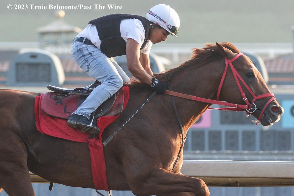 Brickyard Ride gets in a workout at Santa Anita July 3, 2023. (Ernie Belmonte/Past The Wire)