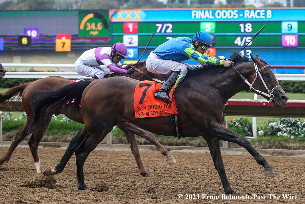 Senor Buscador winning the San Diego. (Ernie Belmonte/Past The Wire)