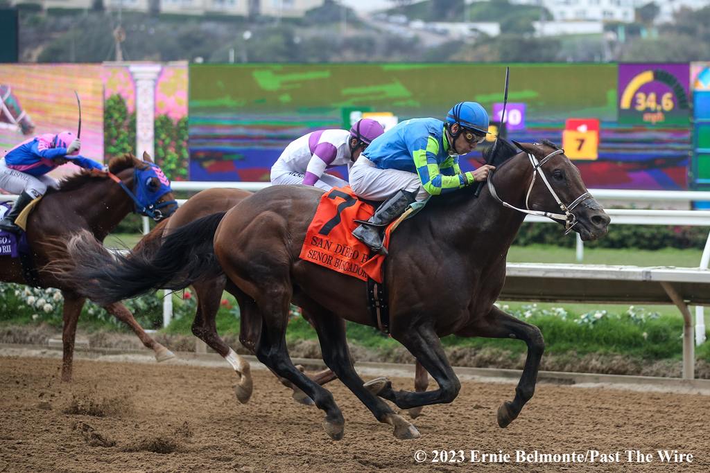 Senor Buscador winning the San Diego. (Ernie Belmonte/Past The Wire)