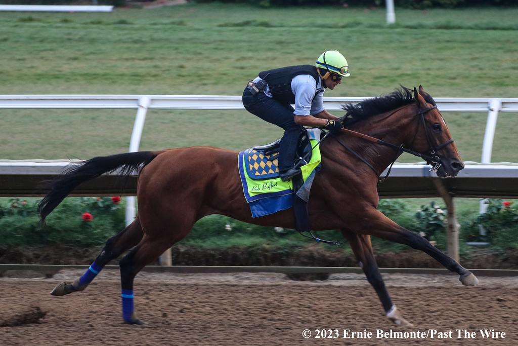 National Treasure stretching it out. (Ernie Belmonte/Past The Wire)