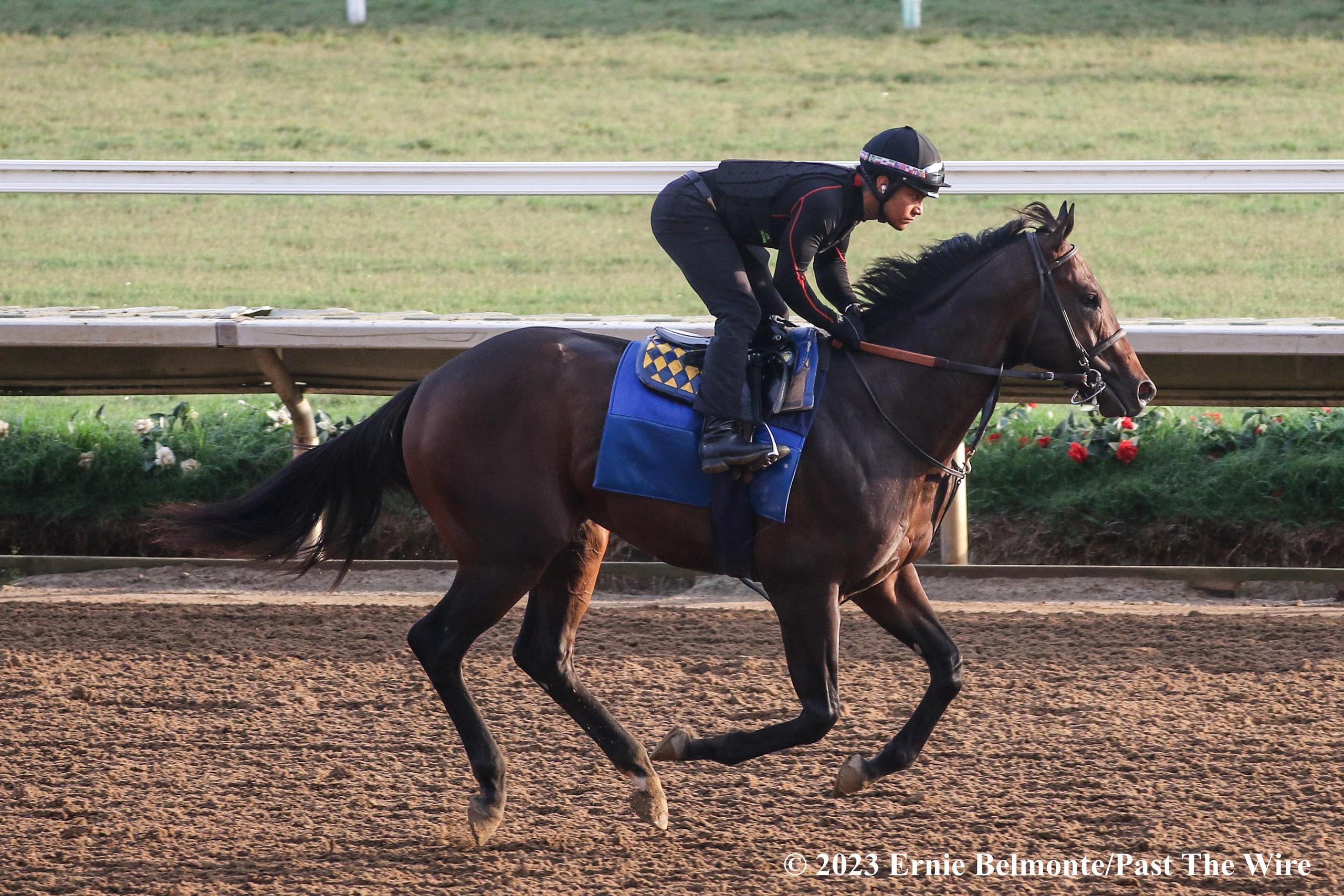 Breeders’ Cup Workouts, HISA, National Thoroughbred Alliance - Past The ...