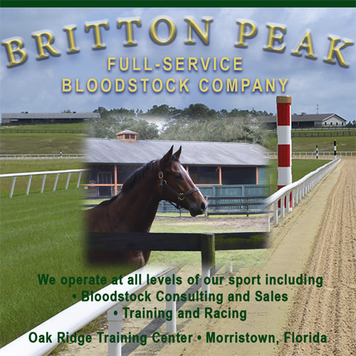 BP: Britton Peak Square (ad)