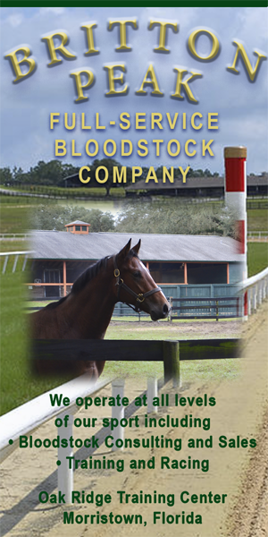 BP: Britton Peak Vertical AD (ad)