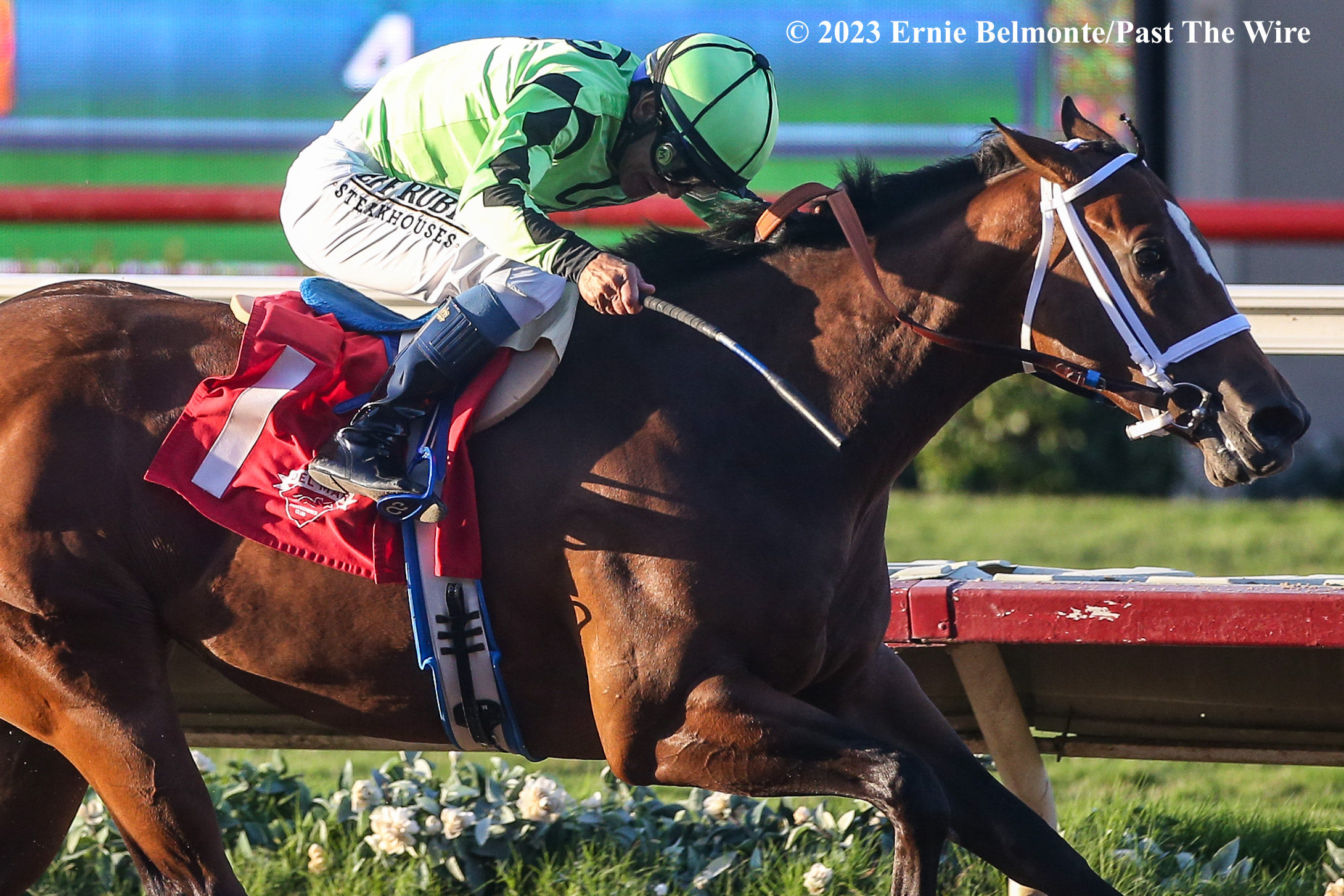 HORSE RACE　モンチッチ　2体　レーシングホース Crazy Hot Runs Away With Generous Portion - Past The Wire