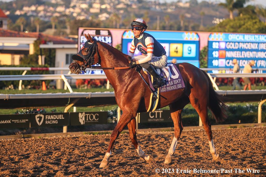 Gold Phoenix after winning the Del Mar Handicap. (Ernie Belmonte/Past The Wire)