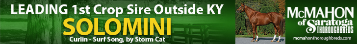 MT: McMahon Thoroughbreds Solomini Banner (ad)