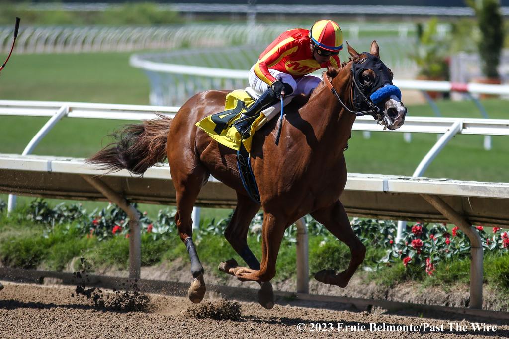 Wine Me Up breaking his maiden Sept. 2. (Ernie Belmonte/Past The Wire)