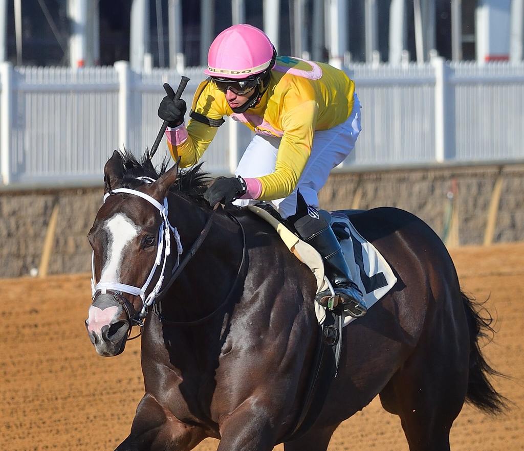 Wondrwherecraigis was the victor in the 2022 Fire Plug at Laurel Park. (Jerry Dzierwinski/MJC)