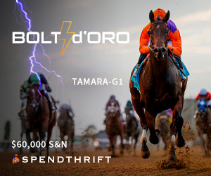 SP: Bolt d' Oro Square (ad)