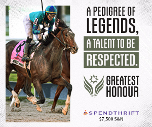 SP: Greatest Honour Square (ad)
