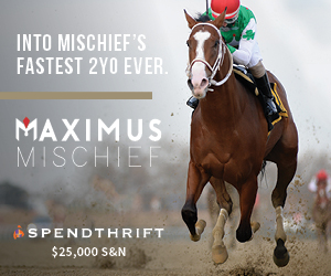 SP: Maximus Mischief Square (ad)