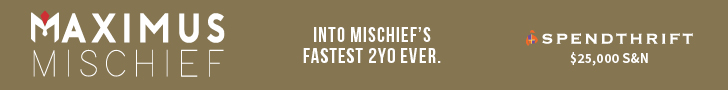 SP: Maximus Mischief Banner (ad)