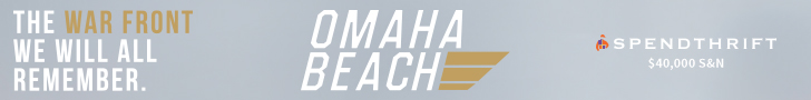 SP: Omaha Beach Banner (ad)