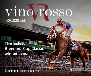 SP: Vino Rosso Square (ad)