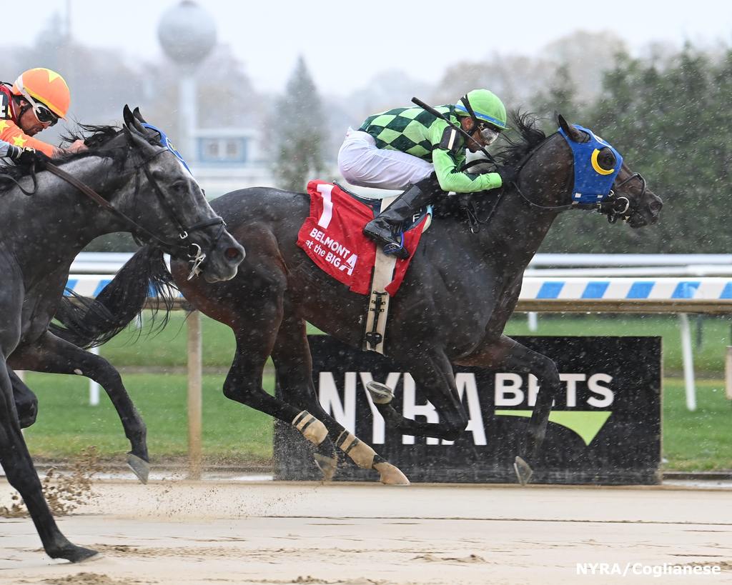 Disarmed splashes to a half-length victory over Zeebear in an AOC Oct. 29. (Adam Coglianese)