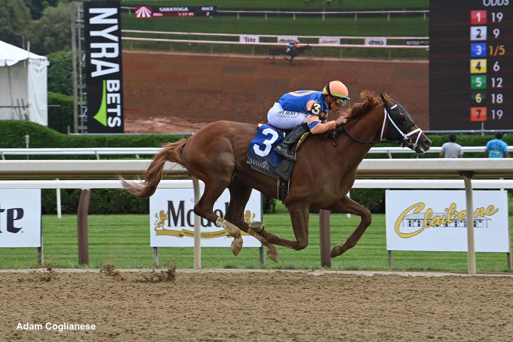 Dreamlike breaking his maiden at Saratoga July 14, 2023. (Adam Coglianese)