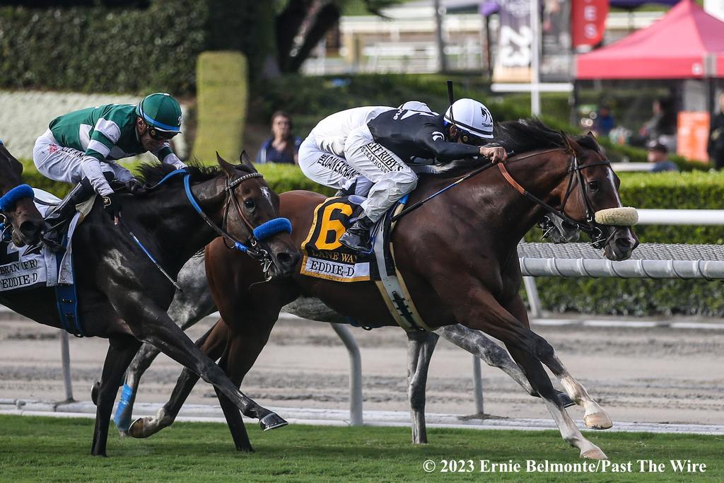 Lane Way battling for the win in the Eddie D. (Ernie Belmonte/Past The Wie)