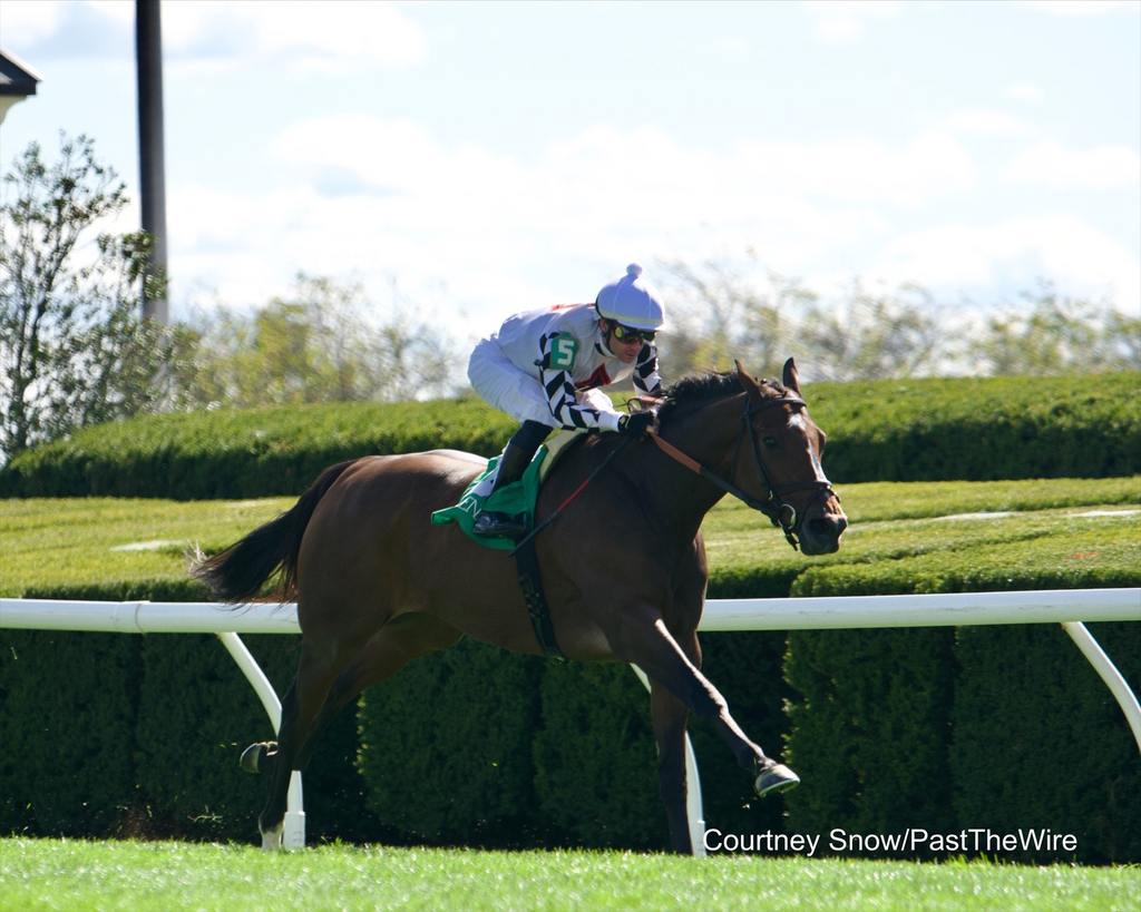 Saffron Moon winning an Allowance at Keeneland Oct. 7 (Courtney Snow/Past The Wire)