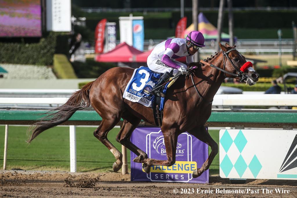 Slow Down Andy winning the Awesome Again Oct. 1, 2023. (Ernie Belmonte/Past The Wire)