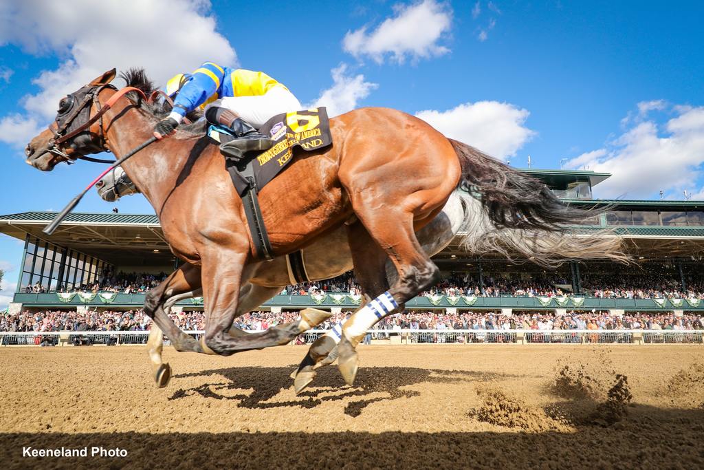 Yuugiri. Keeneland Photo