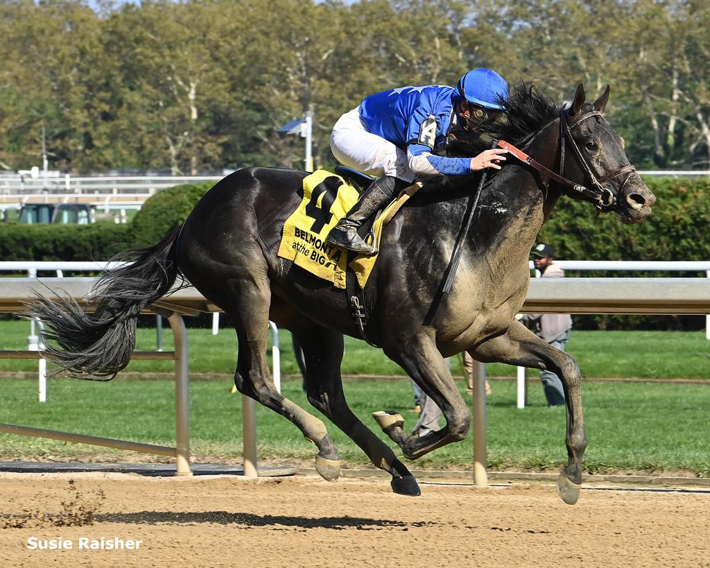 Zandon winning the Woodward. (Susies Raisher)