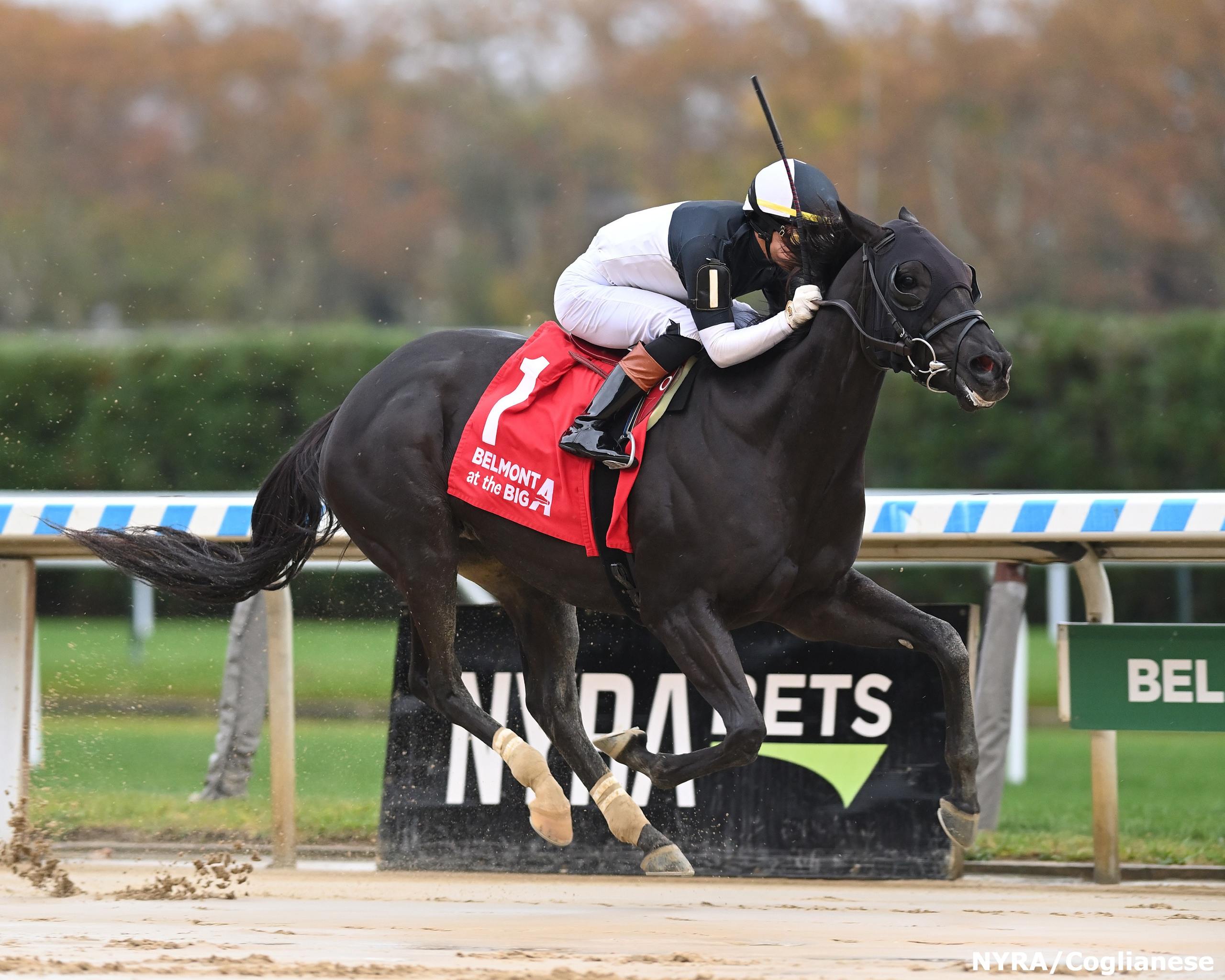El Grande O Preps for G3 Gotham Past The Wire