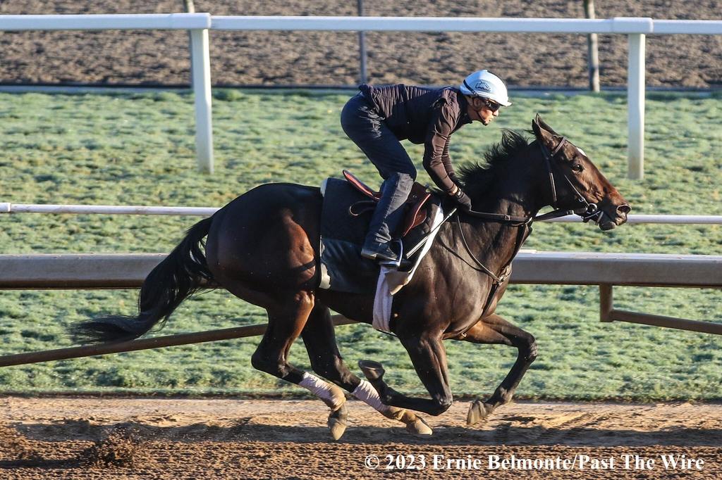 Mirinda broke her maiden at Del Mar on Sept 9. She works here at Santa Anita on Oct. 21. (Ernie Belmonte/Past The Wire)