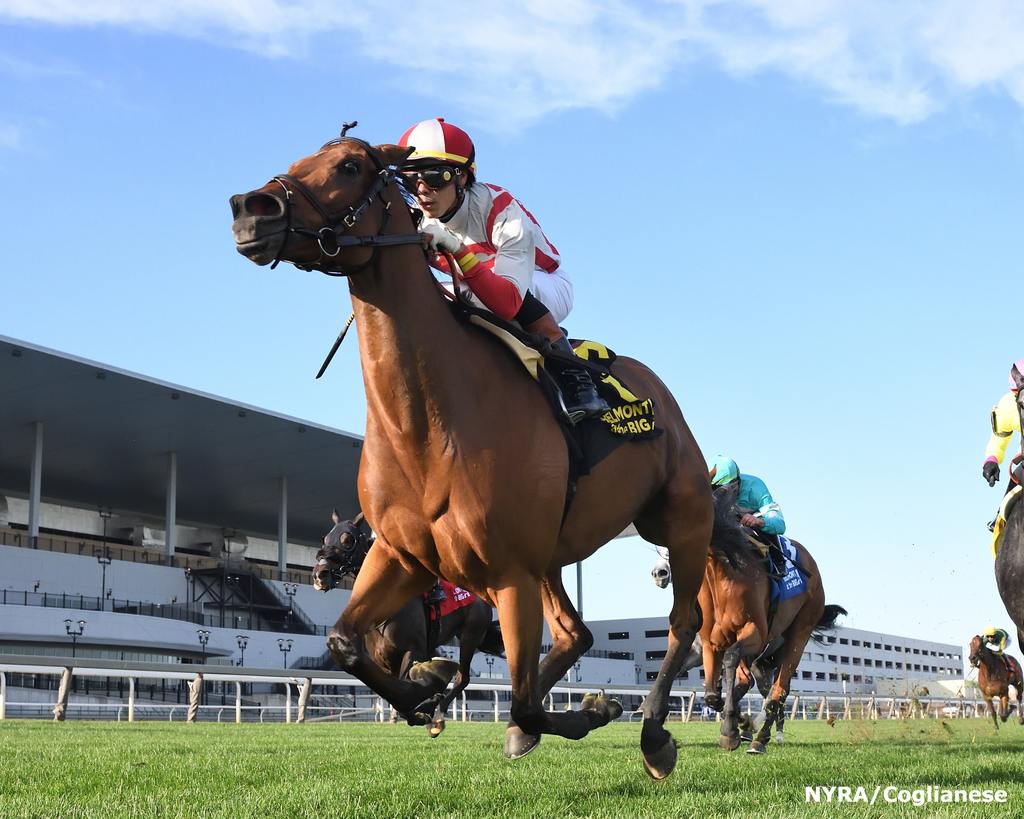 Technical Analysis winning the Athenia. (Adam Coglianese)