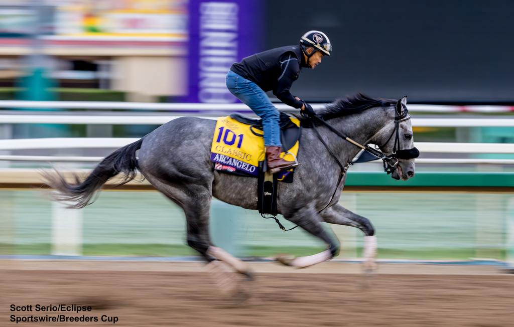 Arcangelo gets in his first work at Santa Anita. (Scott Serio/Eclipse Sportswire/Breeders Cup)