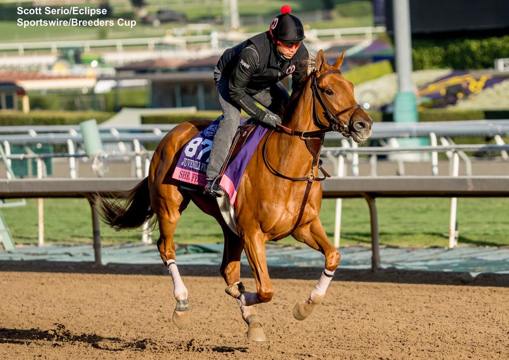 She Feels Pretty in a morning work at Santa Anita Monday. (Scott Serio/Eclipse Sportswire/Breeders Cup)