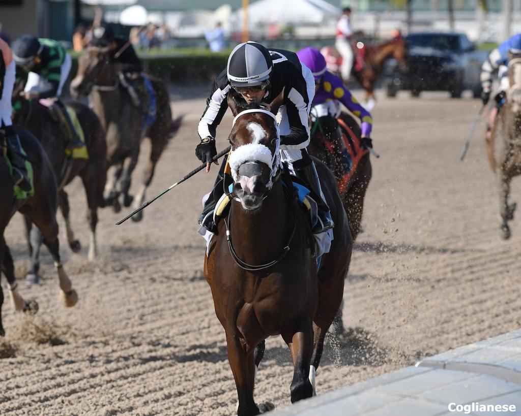 R Harper Rose winning the FTBOA Susan's Girl Oct. 10 at Gulfstream Park. (Ryan Thompson)