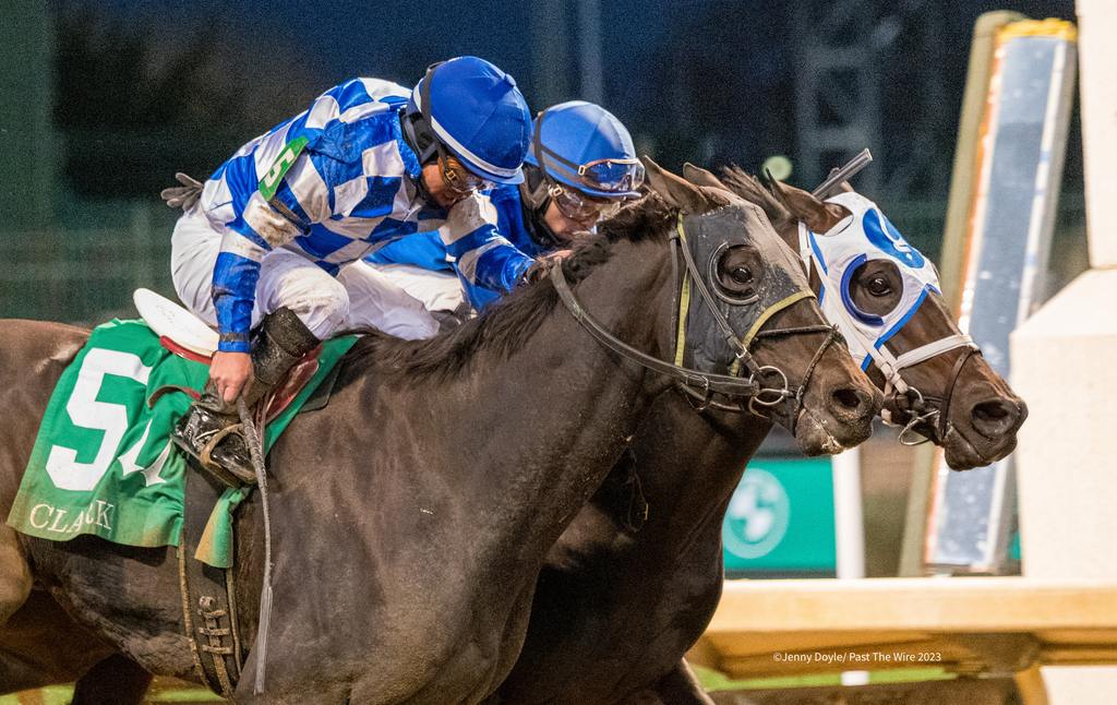 Trademark fiercely wins the 2023 Clark over First Mission. (Jenny Doyle/Past The Wire)