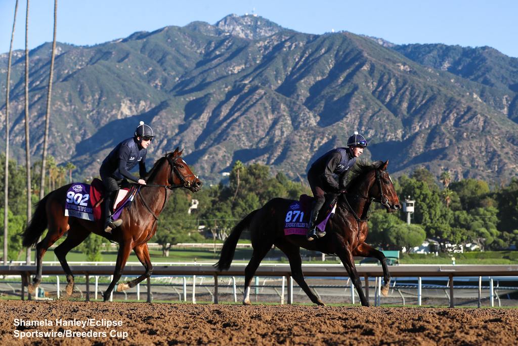 Porta Fortuna (front) and Asean train in company. (Shamela Hanley/Eclipse Sportswire/Breeders Cup)