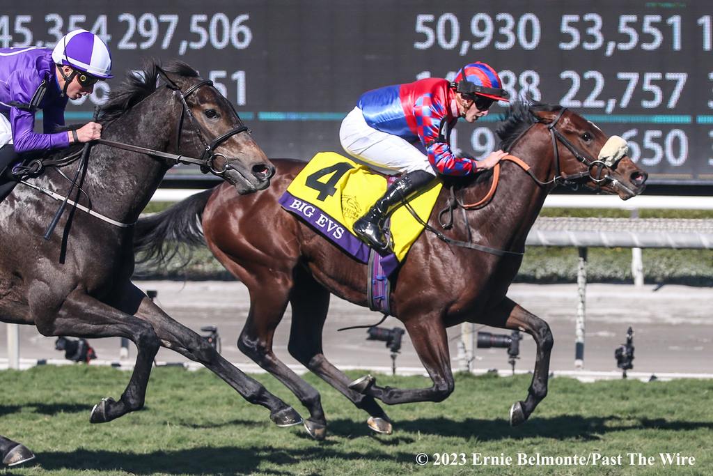 Big Evs BC Juvenile Turf Sprint Santa Anita 11 3 2023 (Ernie Belmonte/Past The Wire)