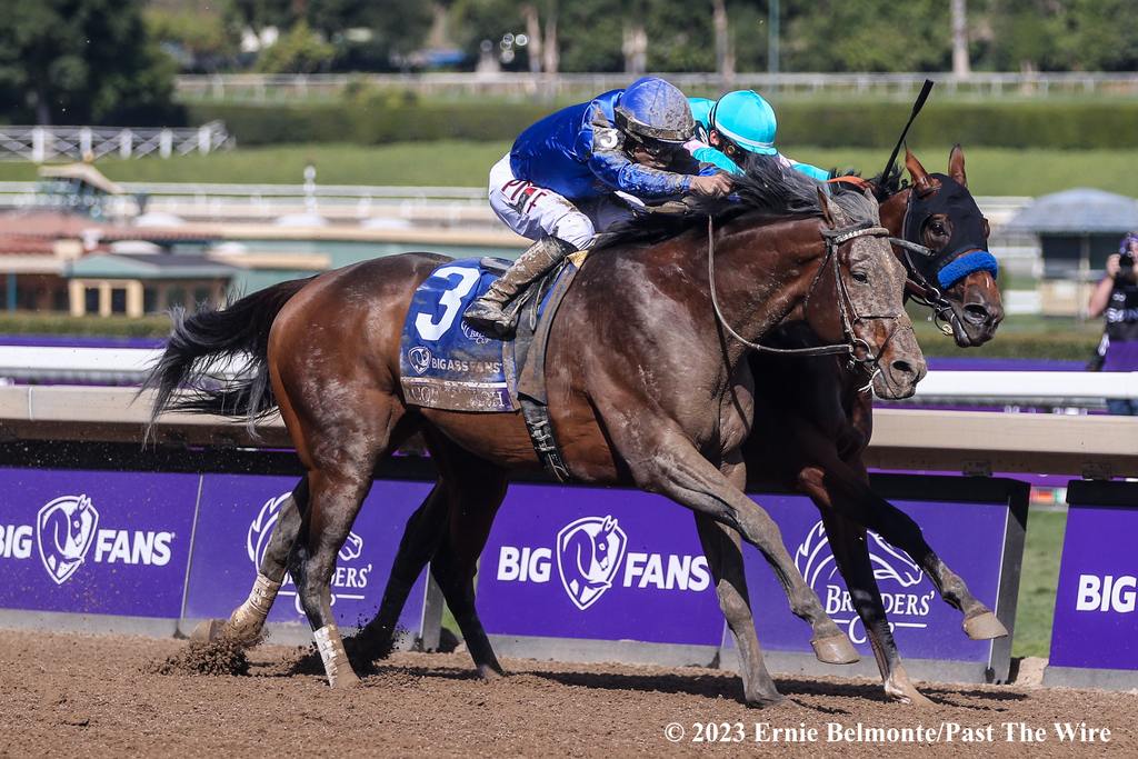Cody's Wish with Junior Alvarado up battled National Treasure to the wire for the win in the Breeders' Cup Dirt Mile. (Ernie Belmonte/Past The Wire)
