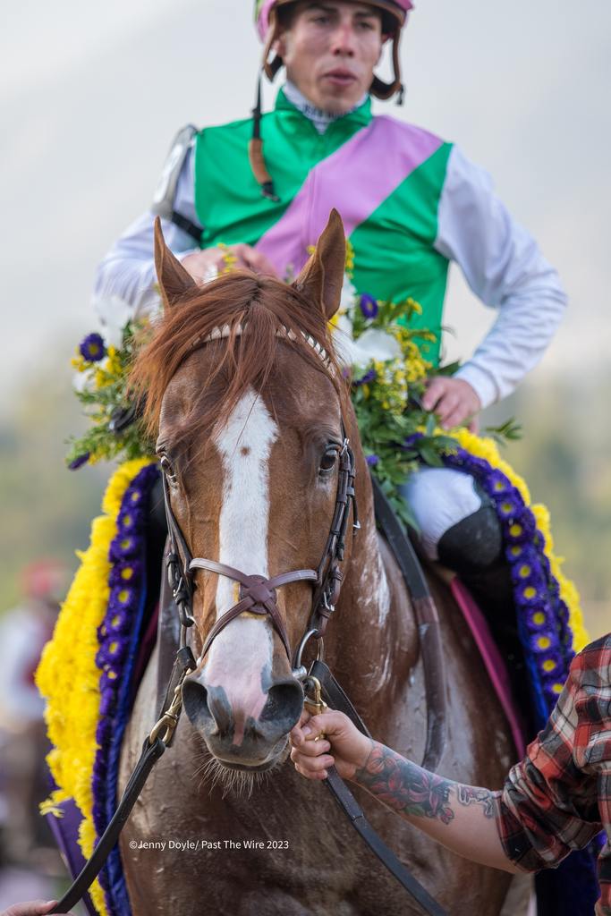 Elite Power gave Irad Ortiz, Jr. his final Breeders' Cup win in the  Sprint. (Jenny Doyle/Past The Wire)