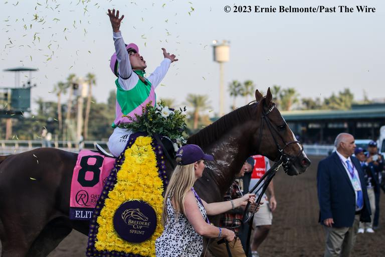 For his third win of the day, Irad Ortiz Jr. guided Elite Power to his second victory in the Breeders’ Cup Sprint for Bill Mott, who won his third of the day. (Ernie Belmonte/Past The Wire)
