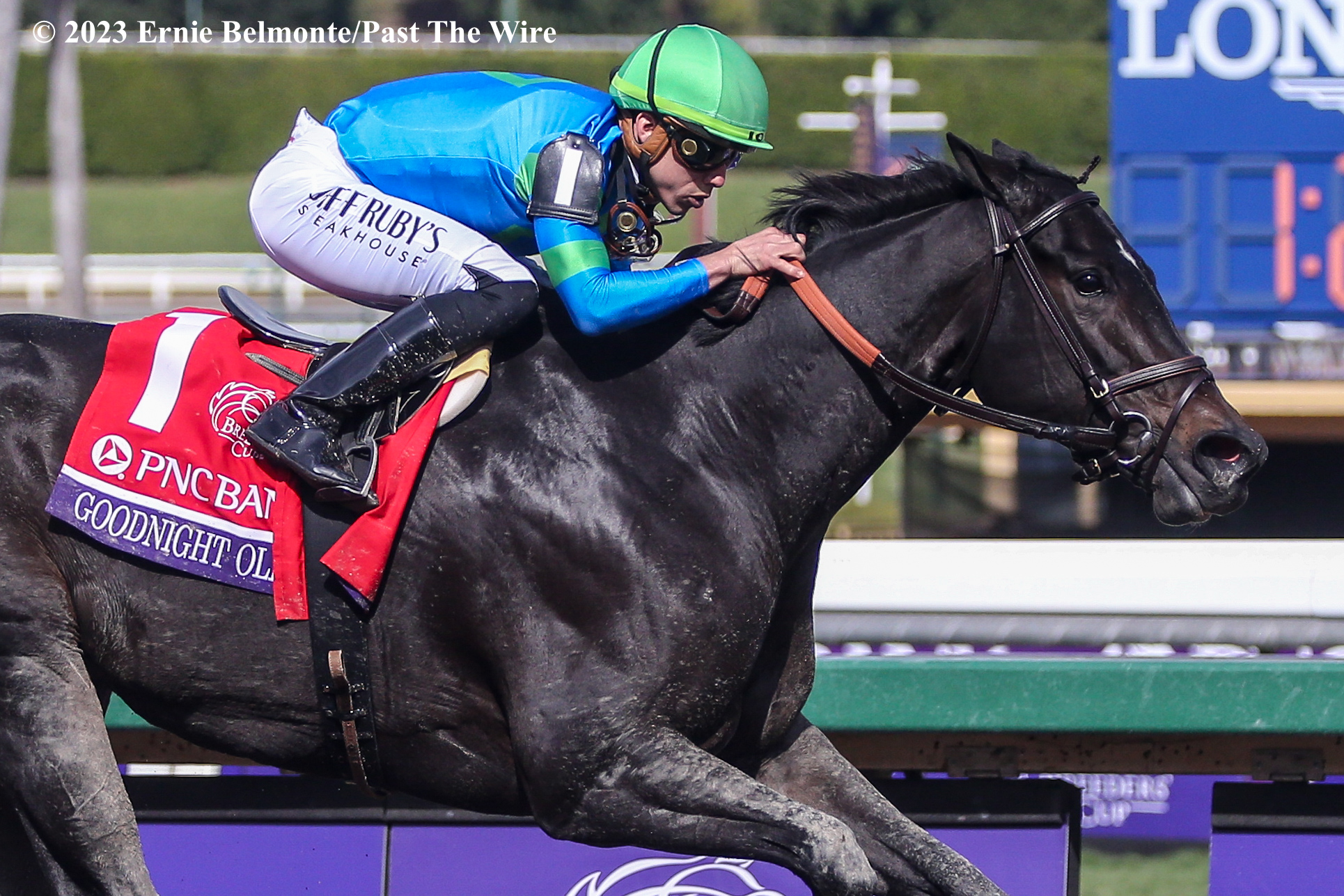 Goodnight Olive Defends Title In Breeders’ Cup Filly & Mare Sprint ...