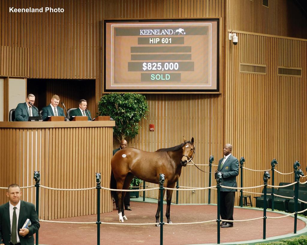 Cancel This Hip 601. (Keeneland Photo)